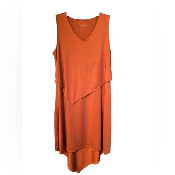 Cuddl Duds stretchy, brandy brown sleeveless dress with v ruffled layer size L - Picture 3 of 5